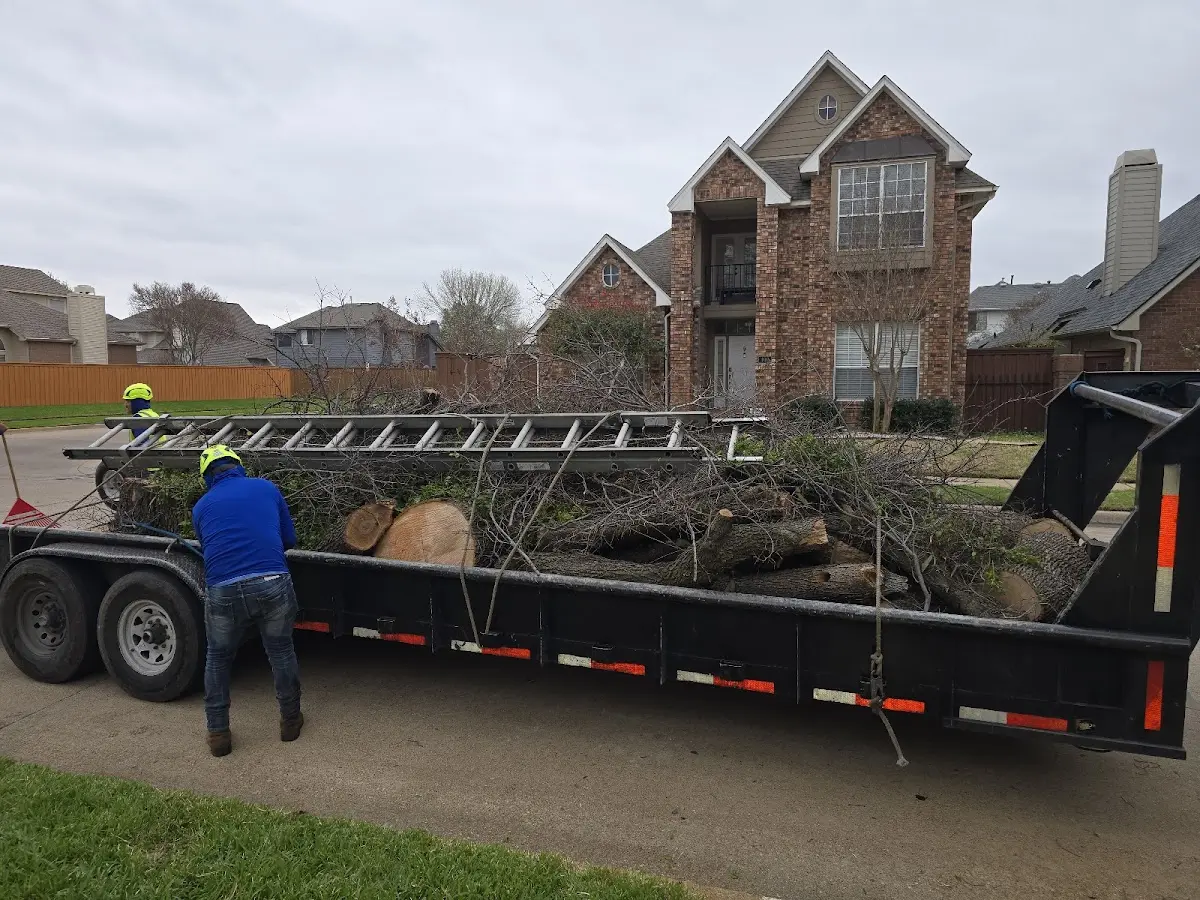 Expert Tree Fertilization with proper safety equipment in Dickinson